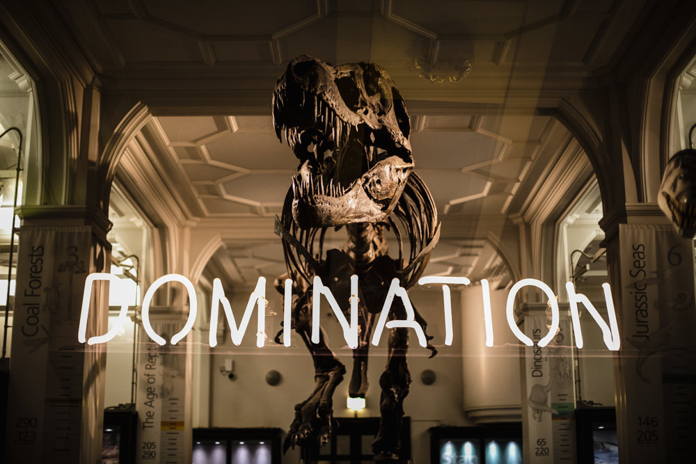 Manchester Museum Wedding Chris Barber Photography