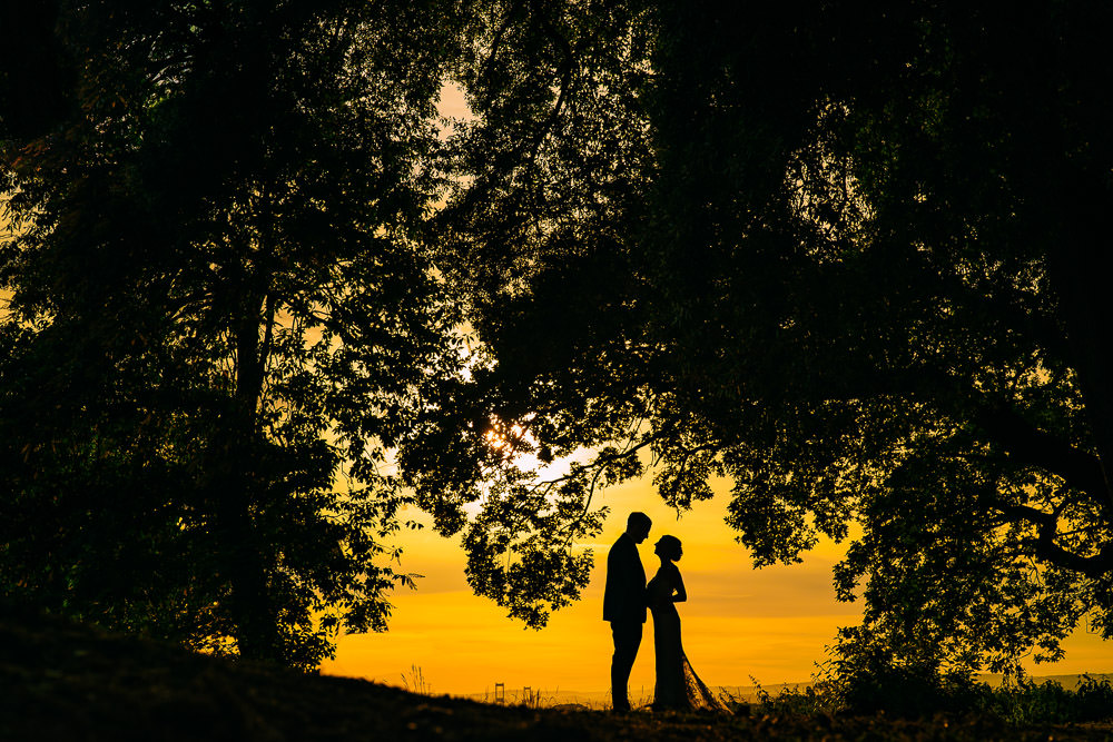 Old Down Estate Wedding Albert Palmer Photography