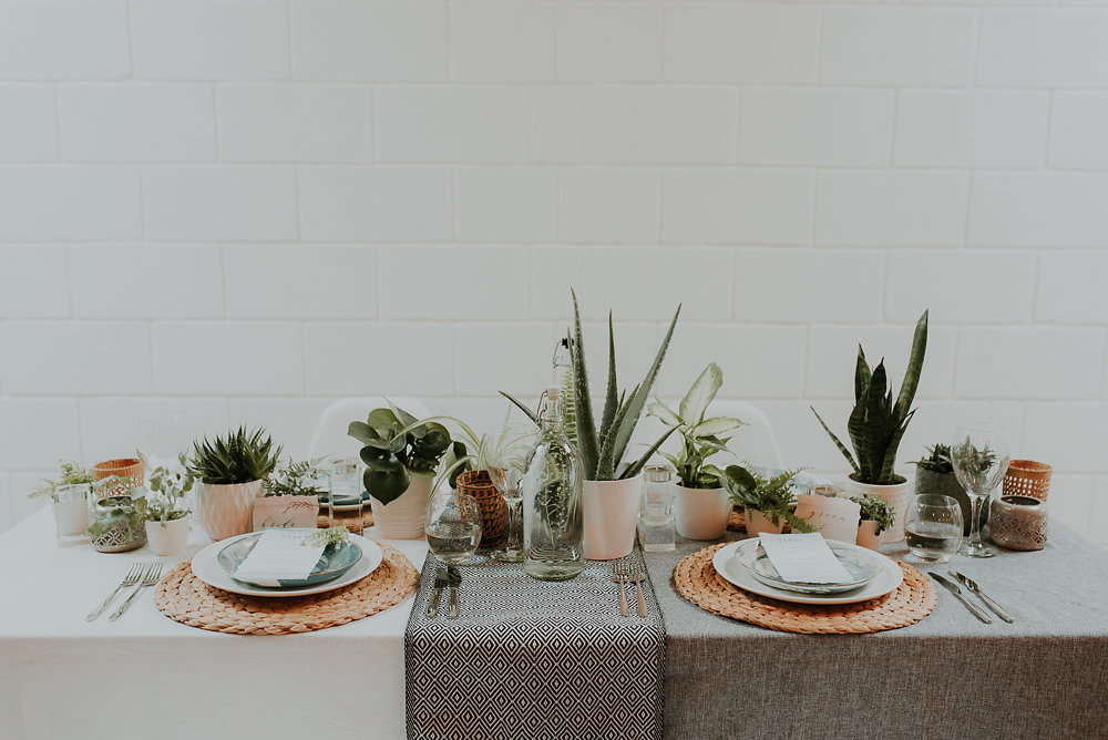 Tablescape Decor Table House Plants Succulents Foliage Greenery Scandinavian Mid Century Minimal Wedding Ideas Rachel Lou Photography