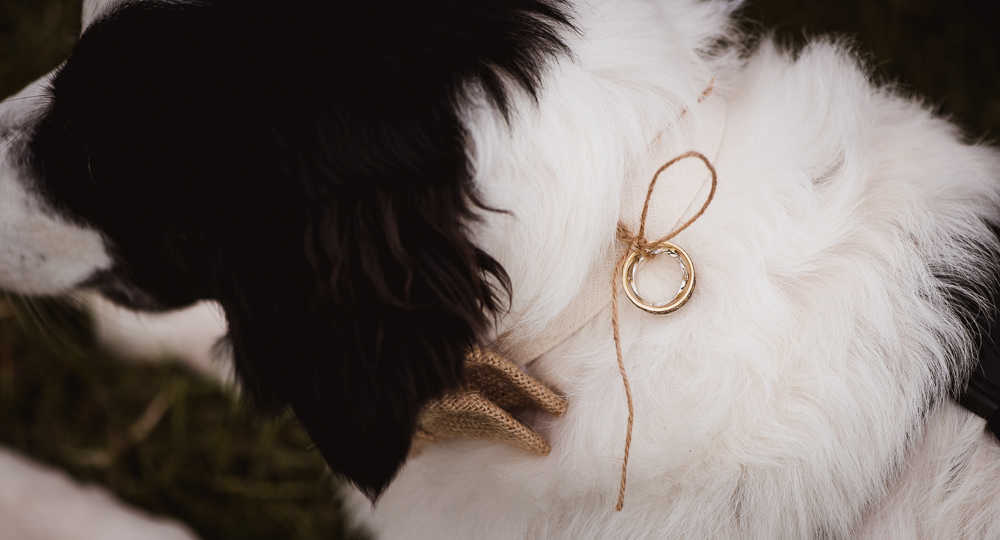Wilkswood Farm Wedding Robin Goodlad Photography