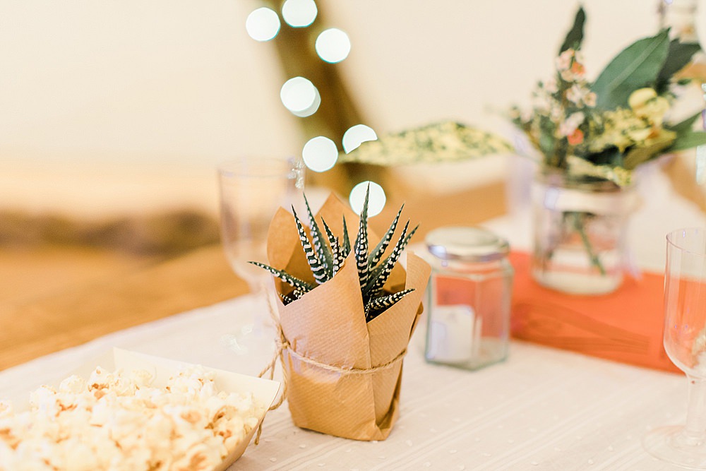 Succulent Favours Chiltern Open Air Museum Wedding Terri & Lori Fine Art Photography