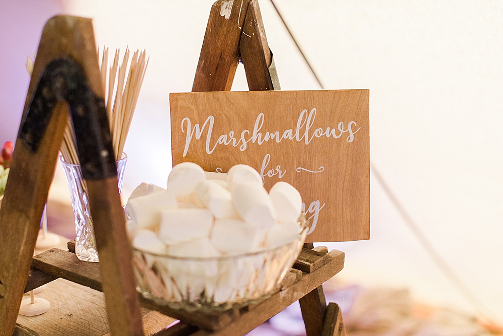 Marshmallows Toasting Smores Chiltern Open Air Museum Wedding Terri & Lori Fine Art Photography