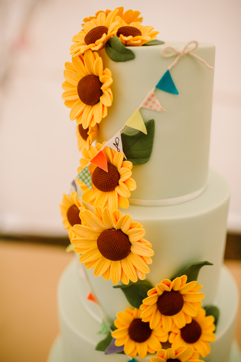Green Yellow Sunflowers Cake Bunting Fun Colourful Festival Camp Wedding Rachel Burt Photography