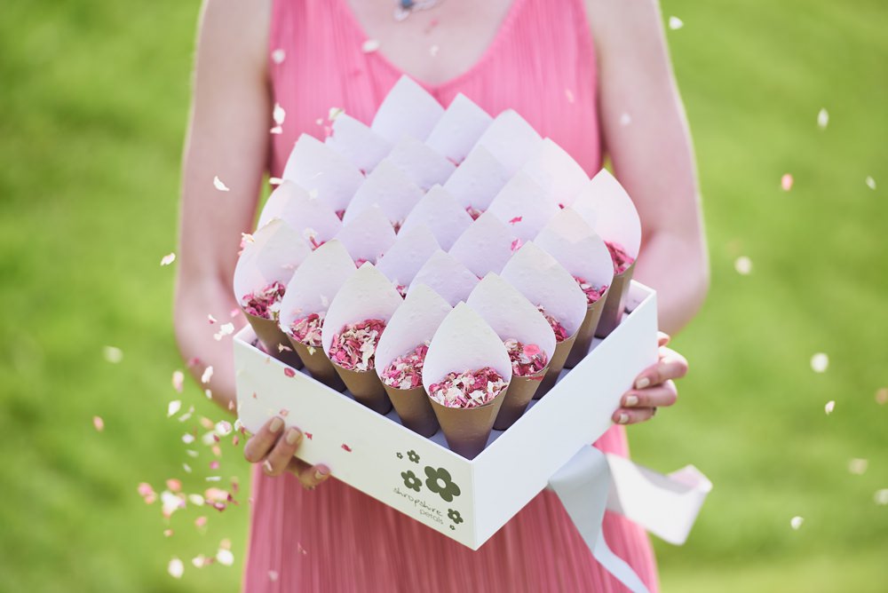 Shropshire Petals - Shropshire Box with Blush confetti and Rose Gold Cones