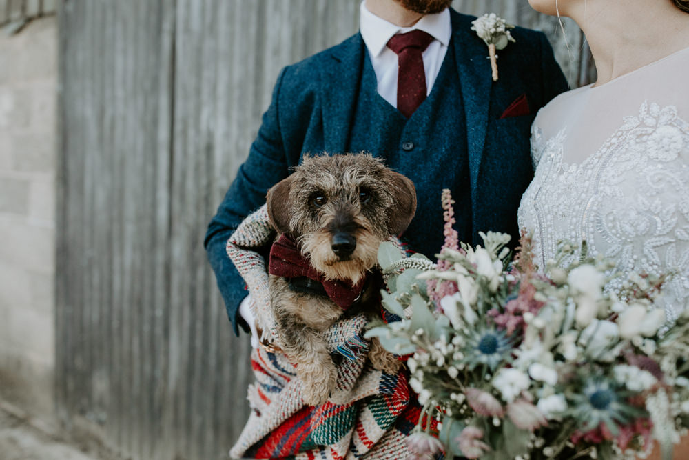 Dog Pet Barn Upcote Wedding Siobhan Beales Photography