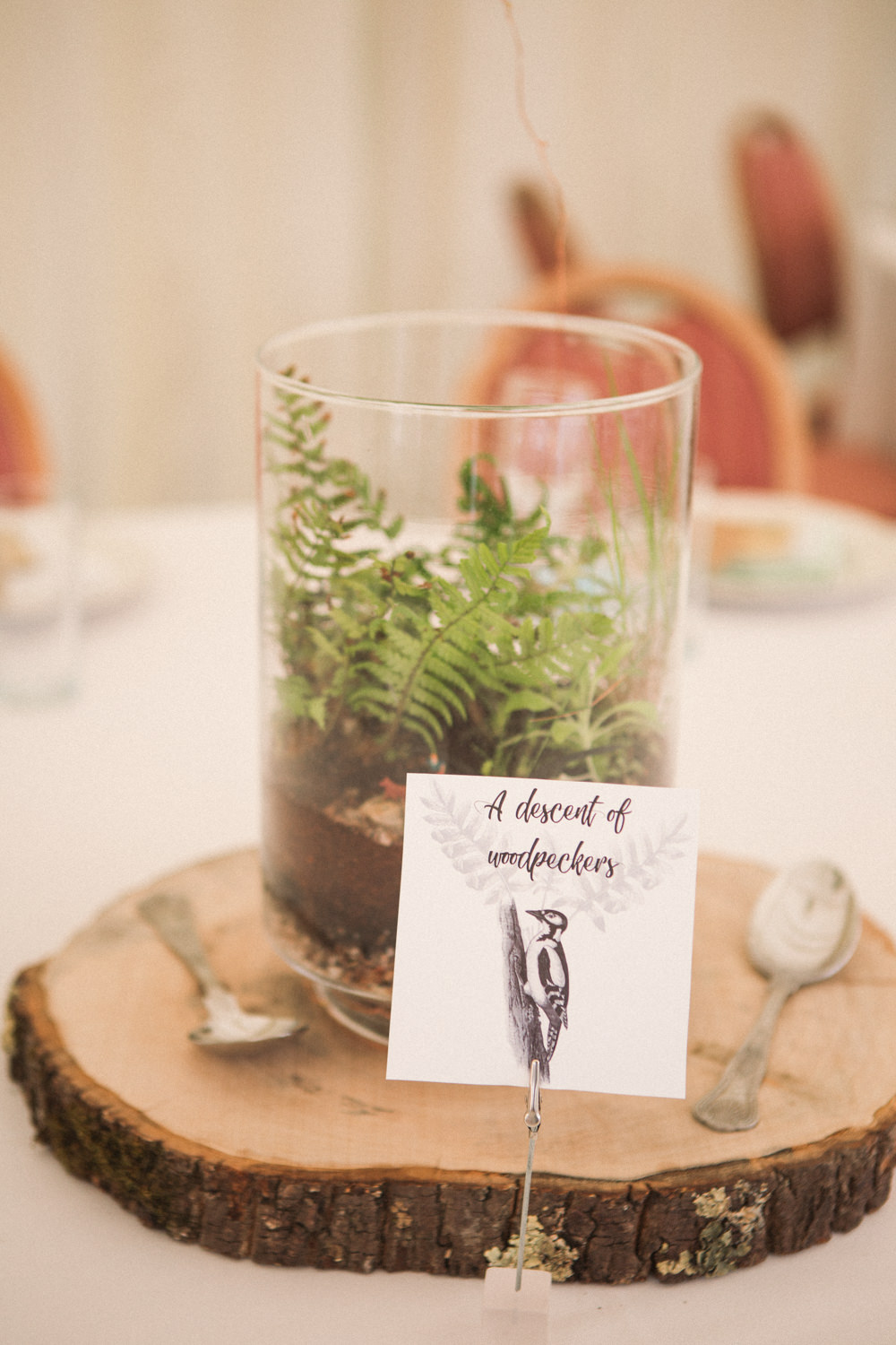 Table Centre Terrarium Wood Slice Middle Coombe Farm Wedding Emma Stoner Photo