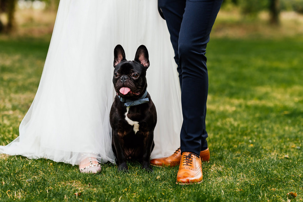Dog Bow Tie Secret Garden Wymington Wedding Aaron Collett Photography
