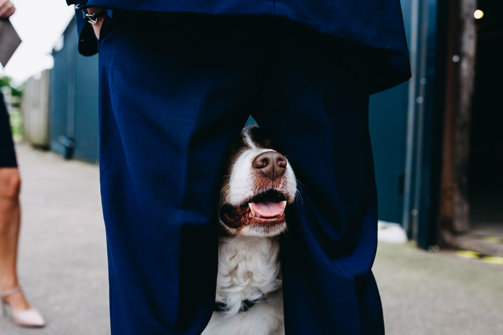 Dog Pet Bawdon Lodge Farm Wedding Hannah Hall Photography