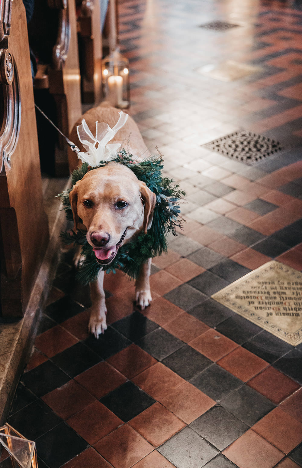 Dog Wedding Greenery Bow Big Barn Wedding Ashley The Vedrines Photography