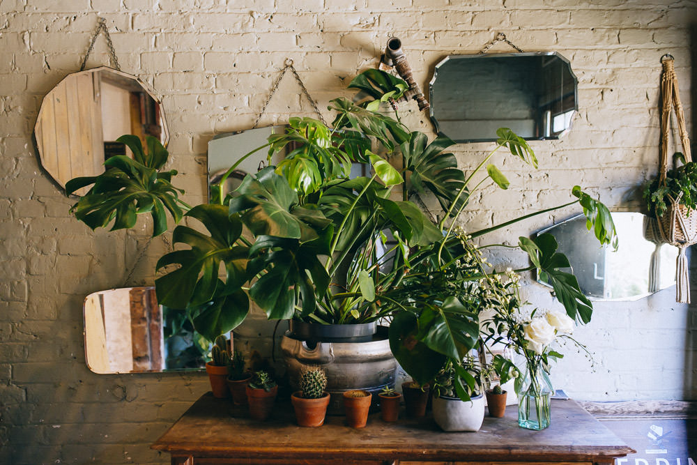Tropical Plants Decor Clapton Country Club Wedding Curious Rose Photography