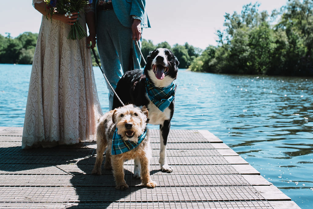 Dogs Pets Eco Friendly Wedding The Stag and the Doe
