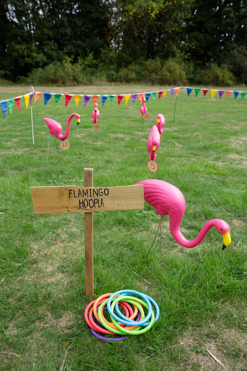 Flamingos Game Hoopla Enchanted Garden Events Wedding Sharon Cooper Photography