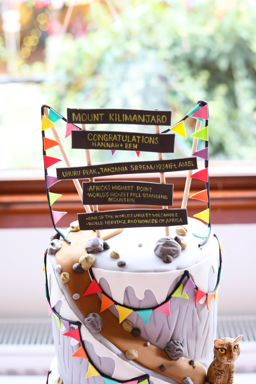 Cake Topper Bunting Mountain Climb Enchanted Garden Events Wedding Sharon Cooper Photography