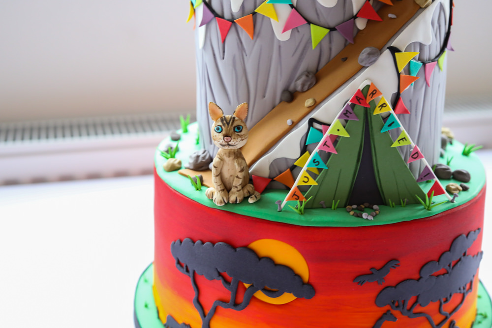 Cake Bunting Mountain Climb Cat Enchanted Garden Events Wedding Sharon Cooper Photography