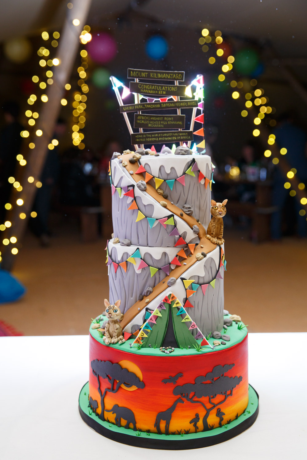 Cake Bunting Mountain Climb Cat Topper Enchanted Garden Events Wedding Sharon Cooper Photography