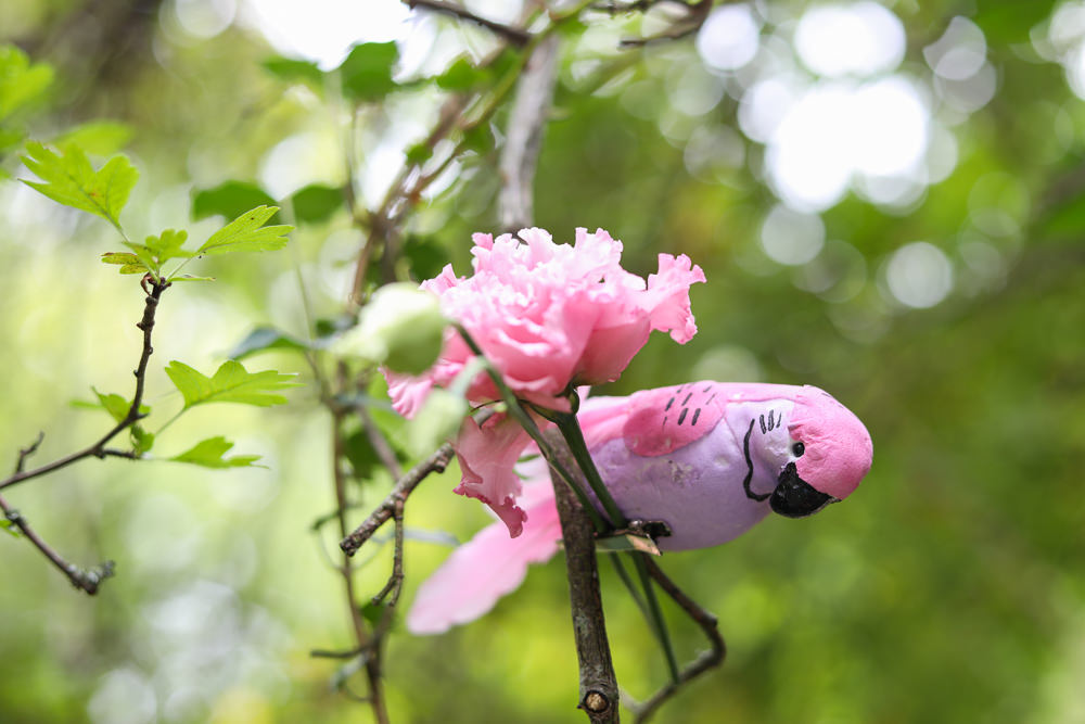 Flowers Parrot Tree Decor Enchanted Garden Events Wedding Sharon Cooper Photography