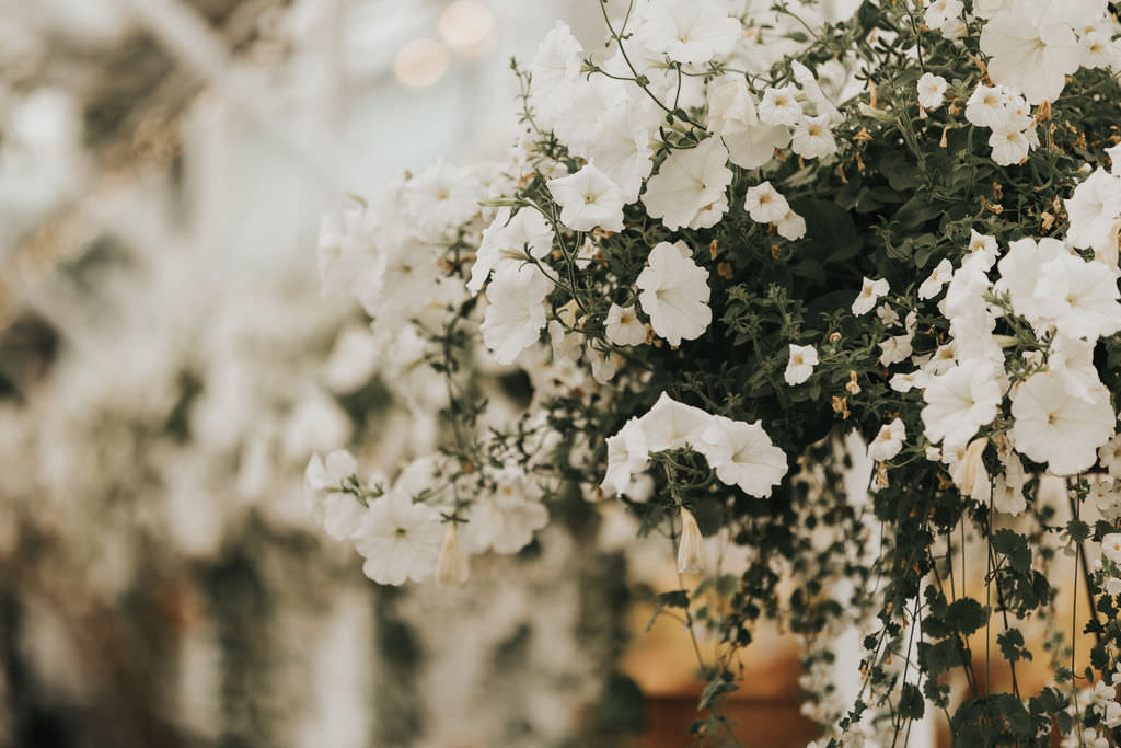 Tall Flower Arrangements White Greenery Greenhouse Garden Washington Wedding Beginning and End Photography