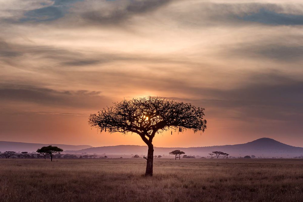 Best Multi-Destination Honeymoons Ideas