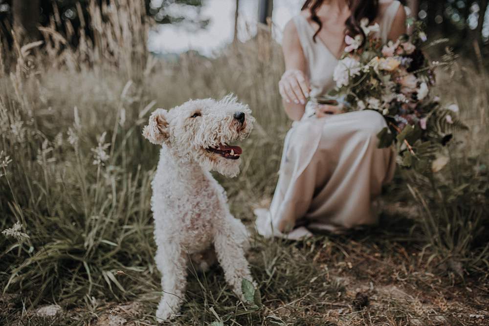 Dog Pet Bohemian Woodland Wedding Ideas Lola Rose Photography