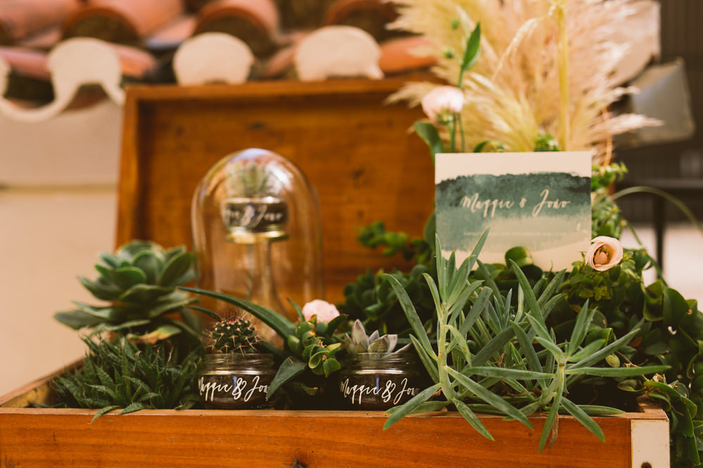 Decor Cacti Cactus Succulents Botanical Dark Green Velvet Pampas Grass Wedding Ideas Bárbara Araújo Photography
