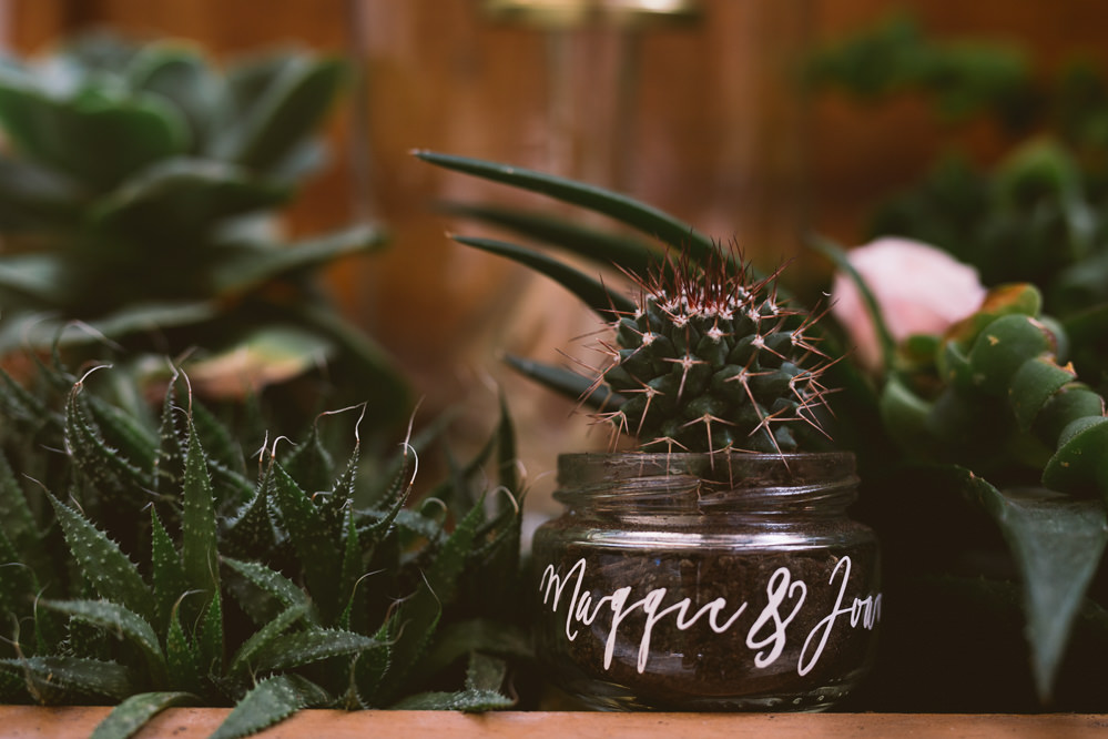 Decor Cacti Cactus Succulents Botanical Dark Green Velvet Pampas Grass Wedding Ideas Bárbara Araújo Photography