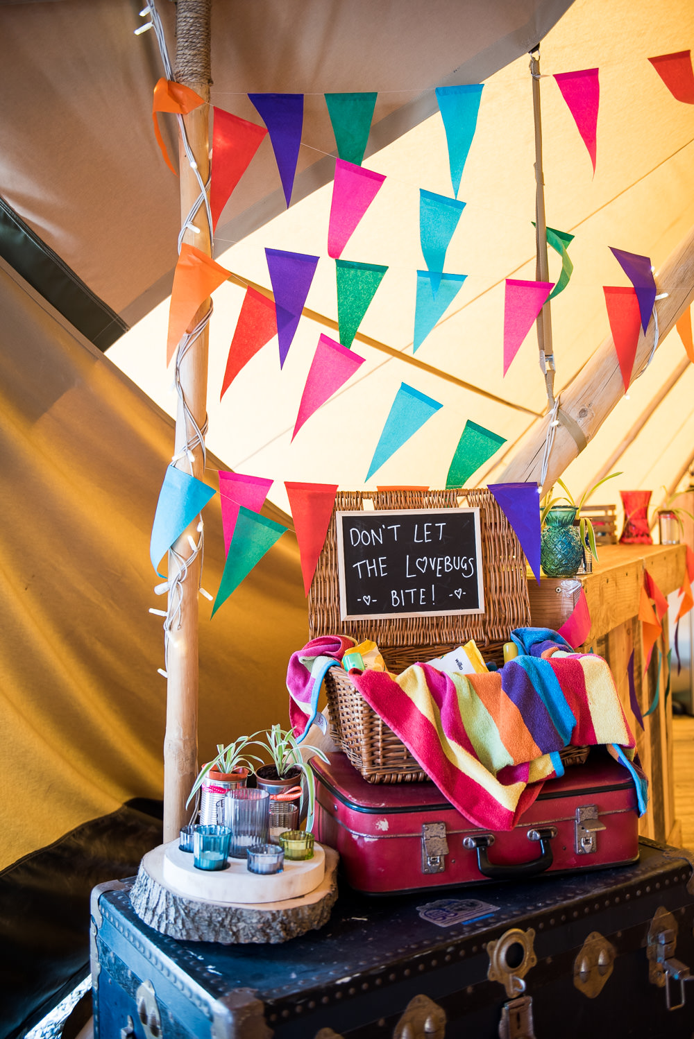 Multicolour Bunting Don't Let The Love Bugs Bite Basket Vintage Trunk Inkersall Grange Farm Wedding Jessica Grace Photography