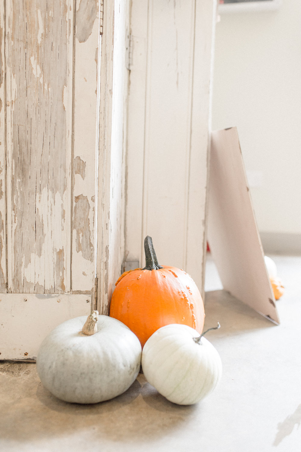 Pumpkins Decor Autumnal Boho Wedding Ivory White Photography