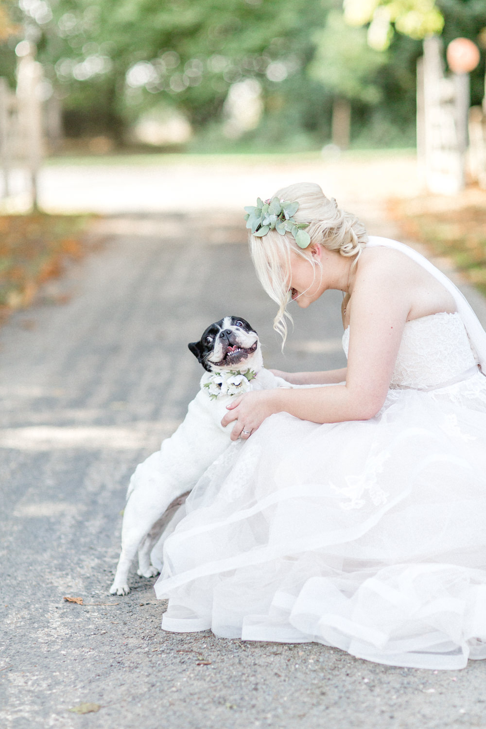 Pet Dog Autumnal Boho Wedding Ivory White Photography