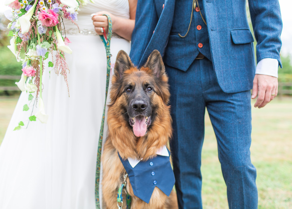 Dog Outfit Waistcoat Bedfordshire Tipi Wedding Natalie Stevenson Photography