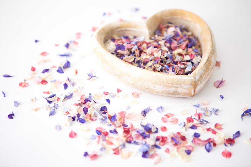 Plan Confetti Throw Wedding