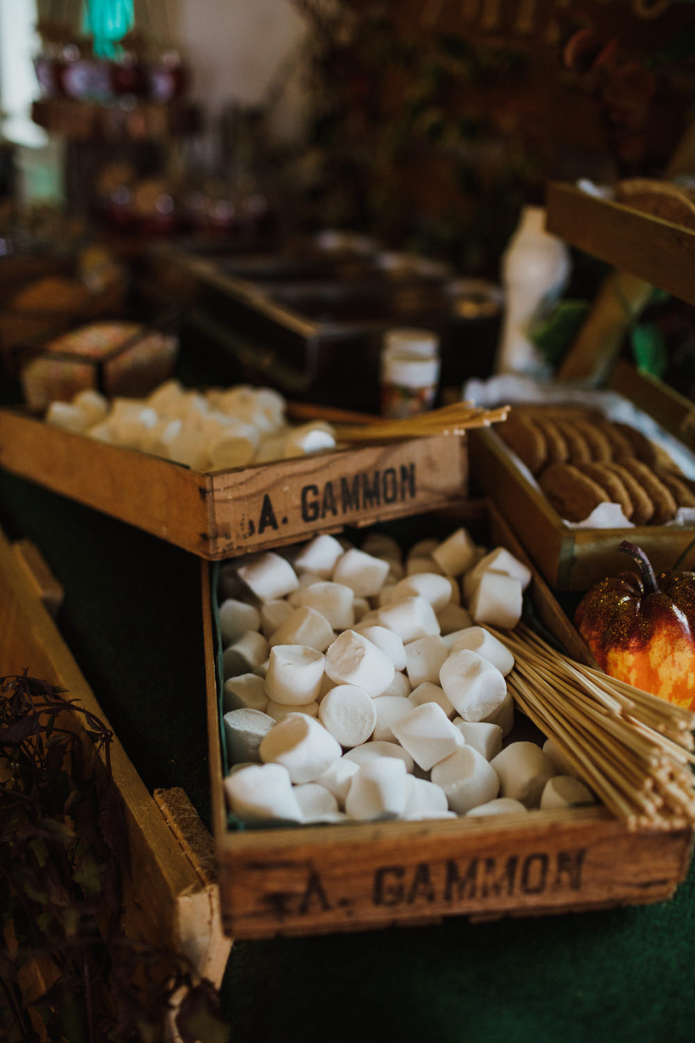Marshmallows Sticks Ox Pasture Hall Wedding Photography34