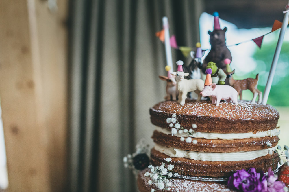 Cake Topper Toy Animals Bunting Rock Village Hall Wedding Lucie Hamilton Photography