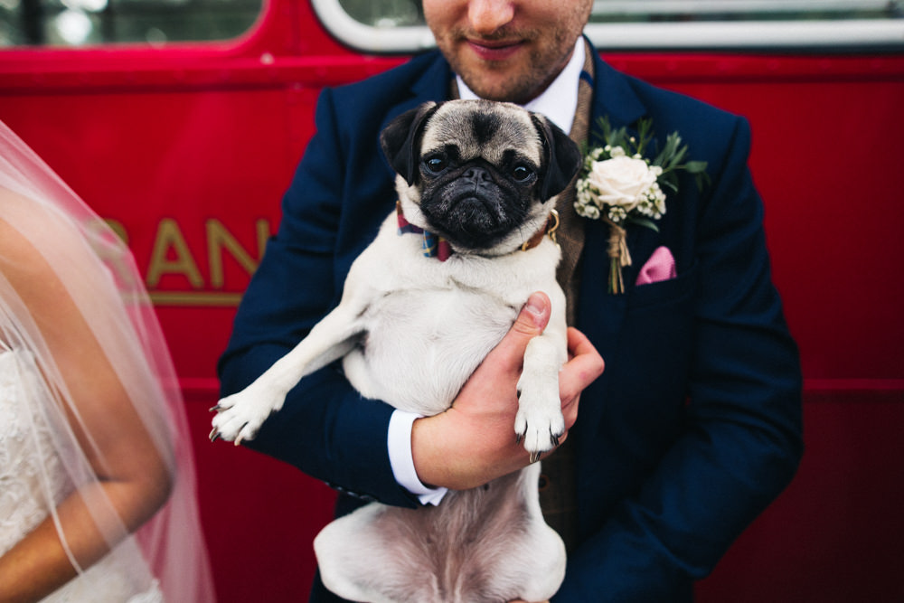 Dog At Wedding Pug Whinstone View Wedding Sally T Photography