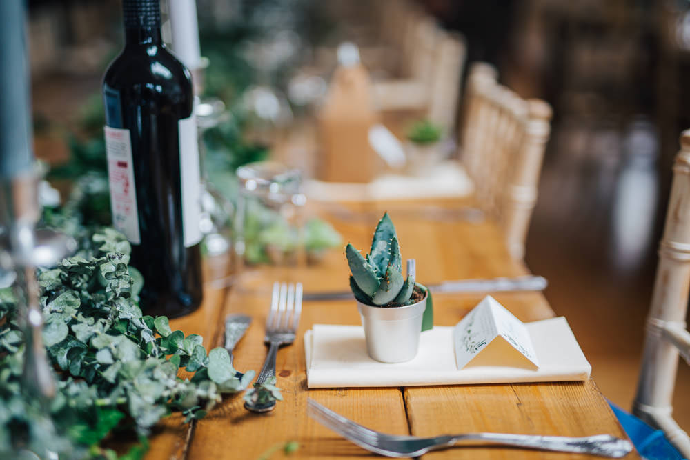 Potted Succulent Favours Place Setting Cacttus Crystals Decor Monmouth Priory Wedding Loveseen Photography