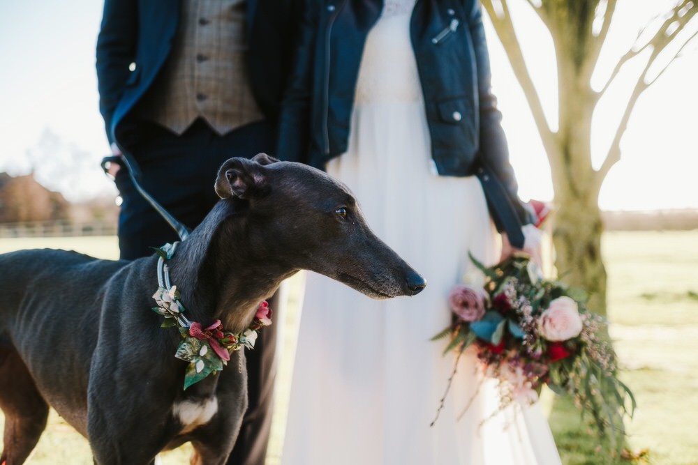 Dog Pet Floral Collar Flower Romantic Wedding Ideas Neon Lighting Kate McCarthy Photography