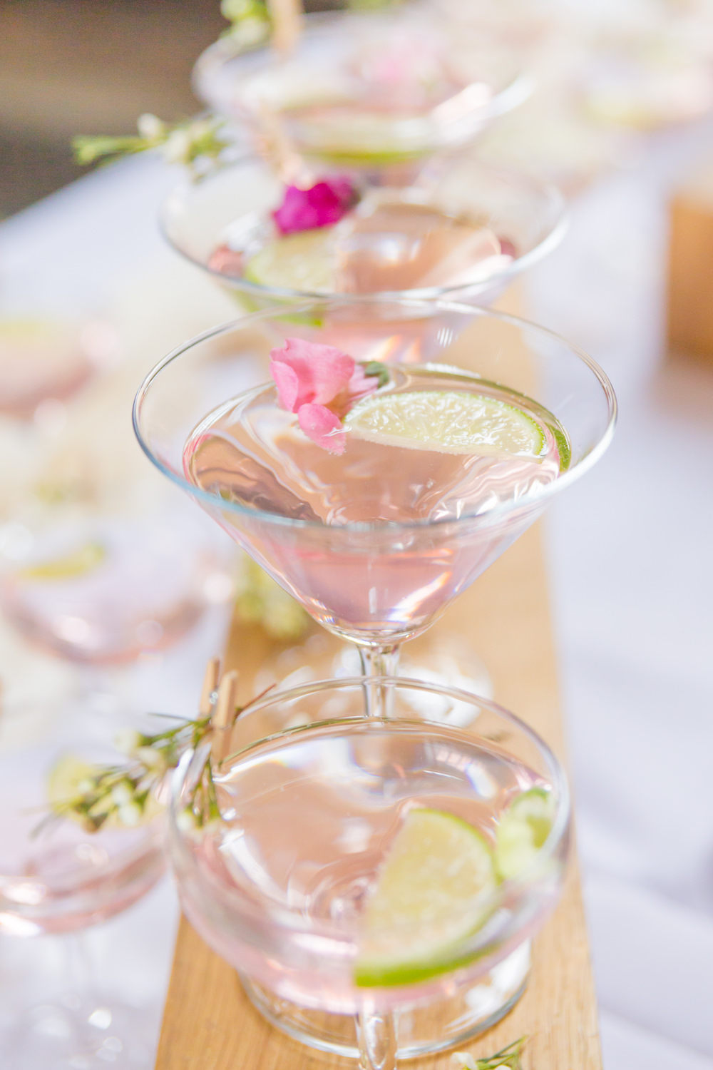 Pink Martini Cocktail Flowers Bodleian Library Wedding Anita Nicholson Photography