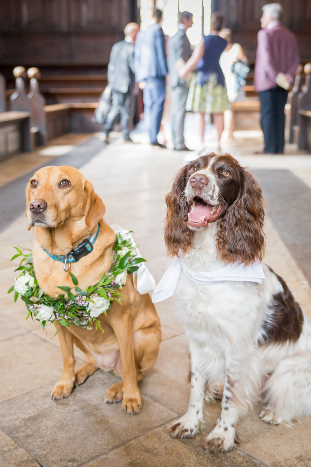 Dogs Floral Collar Wreath Bodleian Library Wedding Anita Nicholson Photography