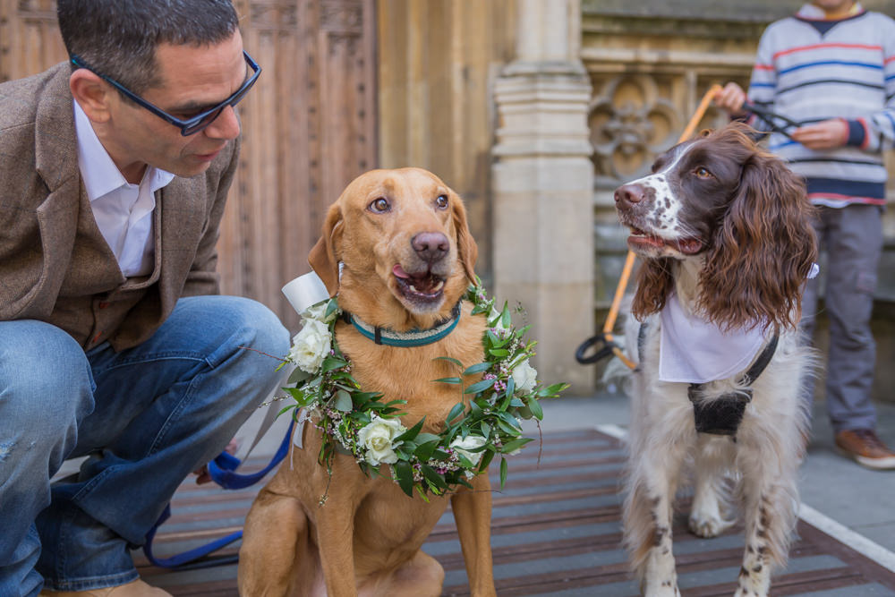 Dog Floral Wreath Collar Bodleian Library Wedding Anita Nicholson Photography