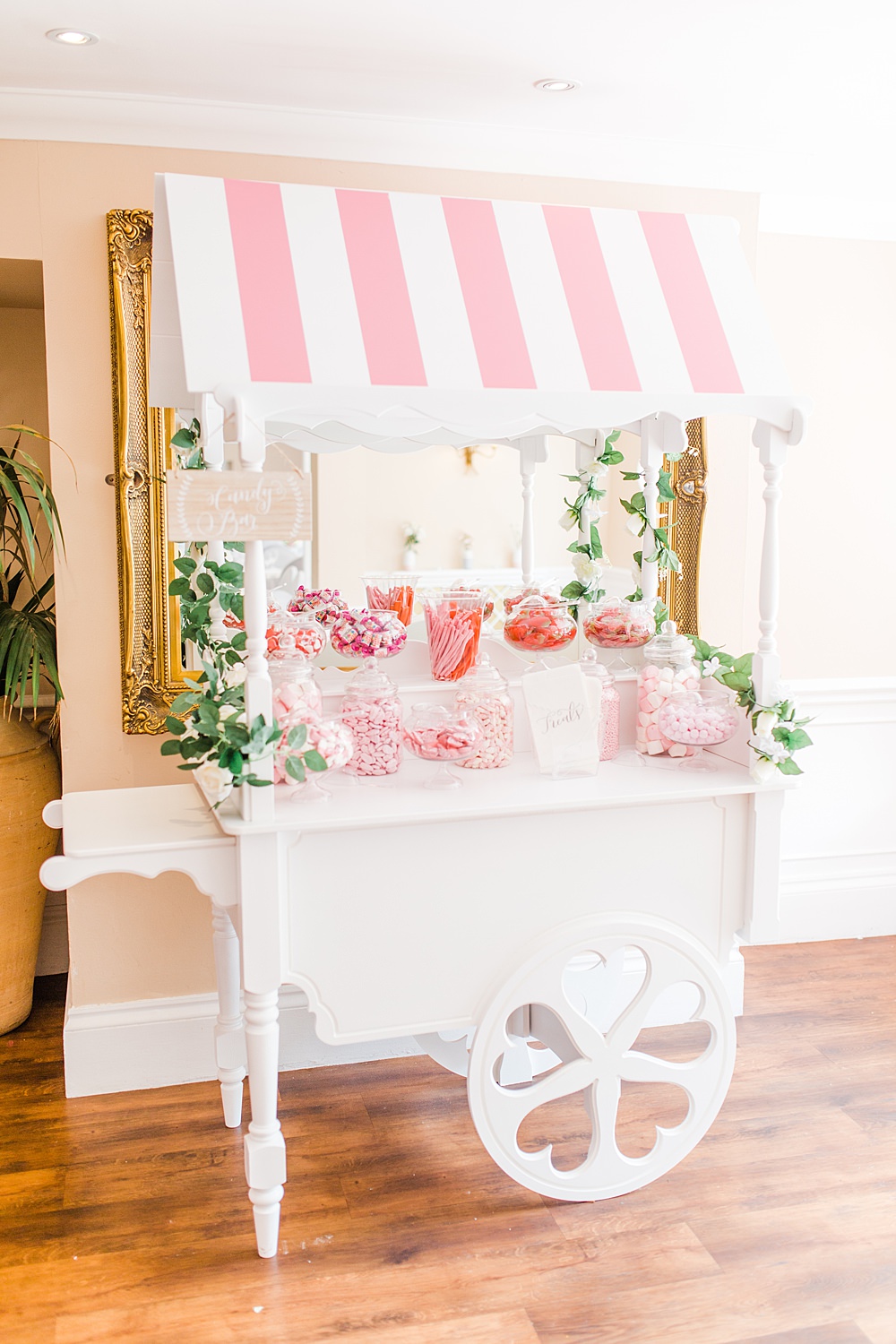 Sweets Sweetie Cart Table Station Sheene Mill Wedding Terri & Lori Photography and Film Studio