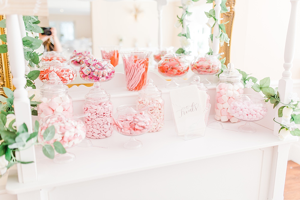 Sweets Sweetie Cart Table Station Sheene Mill Wedding Terri & Lori Photography and Film Studio