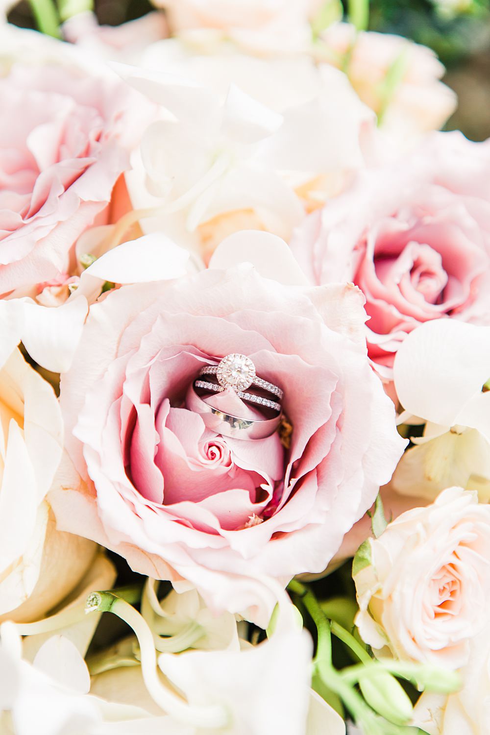Halo Diamond Engagement Ring Band Sheene Mill Wedding Terri & Lori Photography and Film Studio