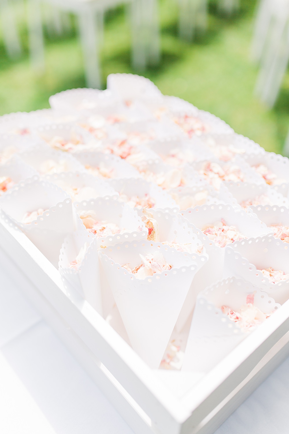 Confetti Cones Sheene Mill Wedding Terri & Lori Photography and Film Studio