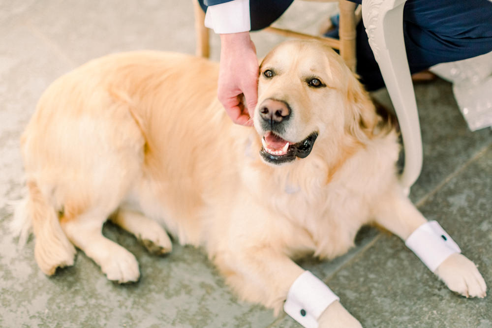 Dog Cuffs Aynhoe Park Wedding Sanshine Photography