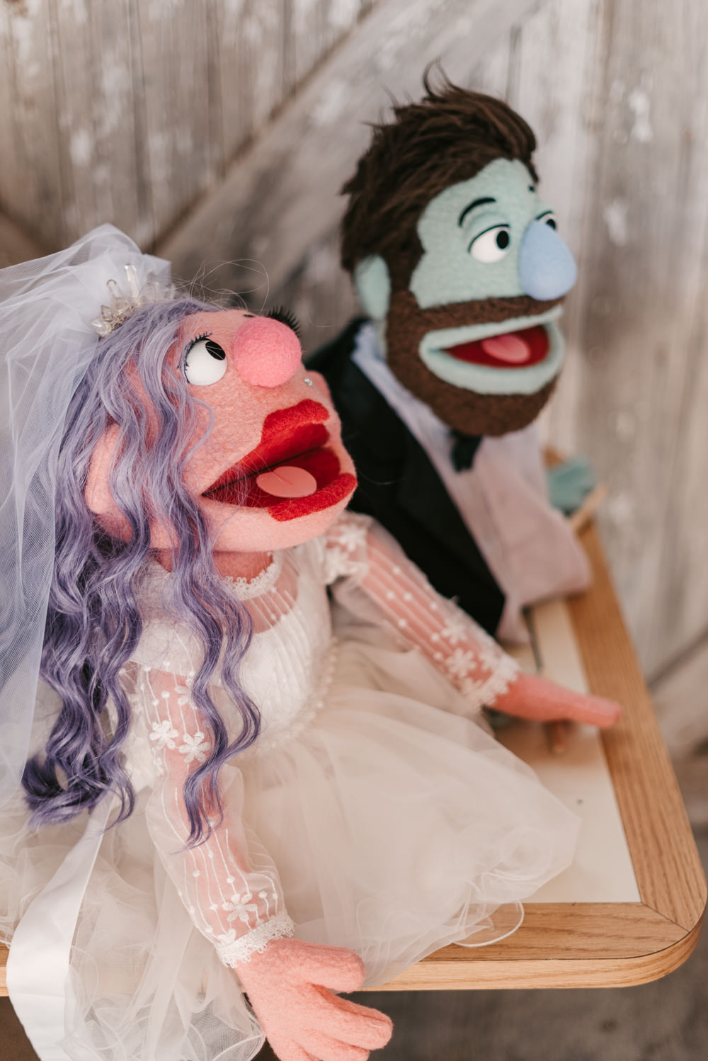 Custom Personalised Muppets Bride Groom Fantasy Nerdy Wedding Eric Lundgren Photography