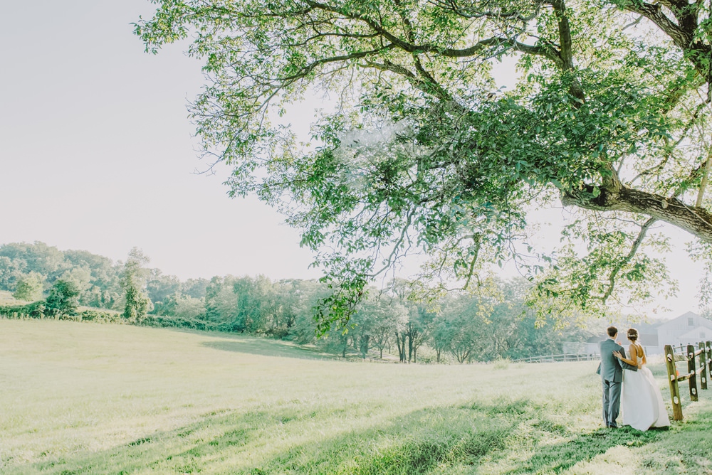 Maryland Wedding L. Hewitt Photography