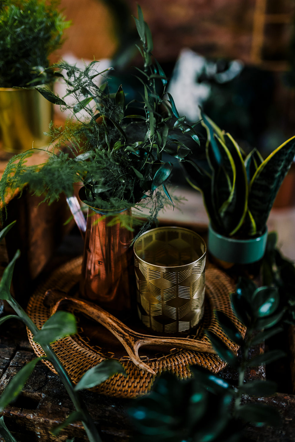 Tropical Luxe Wedding Burfly Photography