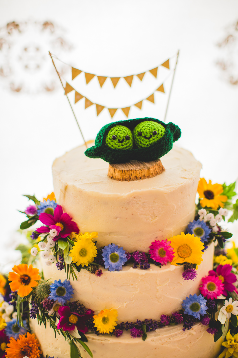 Knitted Peas in a Pod Cake Topper Bunting Wildflowers Wise Wedding Venue Livvy Hukins Photography