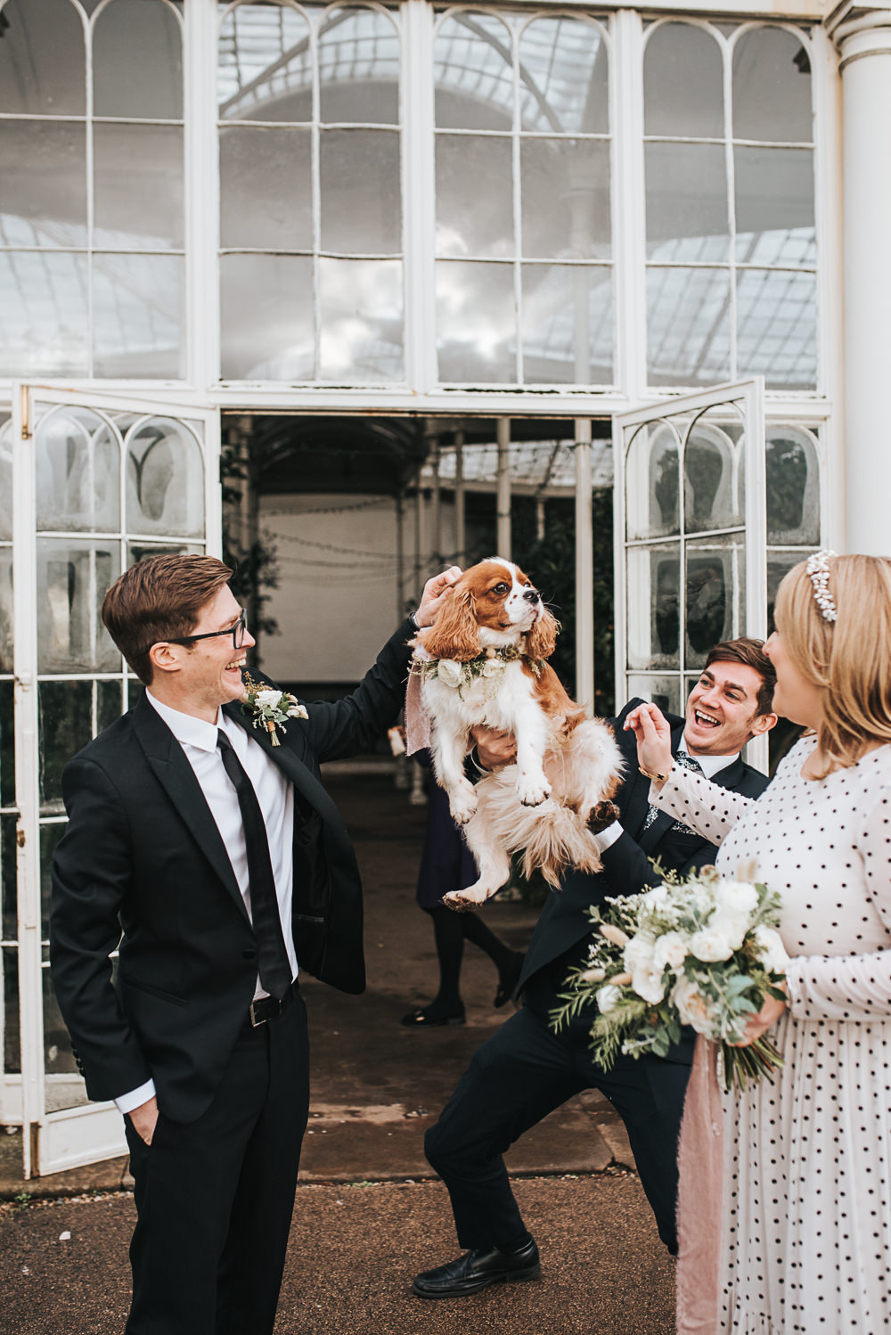 Dog Pet Wollaton Hall Wedding Pear and Bear Photography