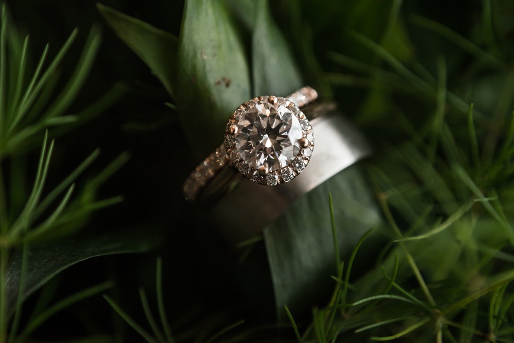 Engagement Ring Diamond Halo Band Greenhouse Michigan Wedding Jean Smith Photography
