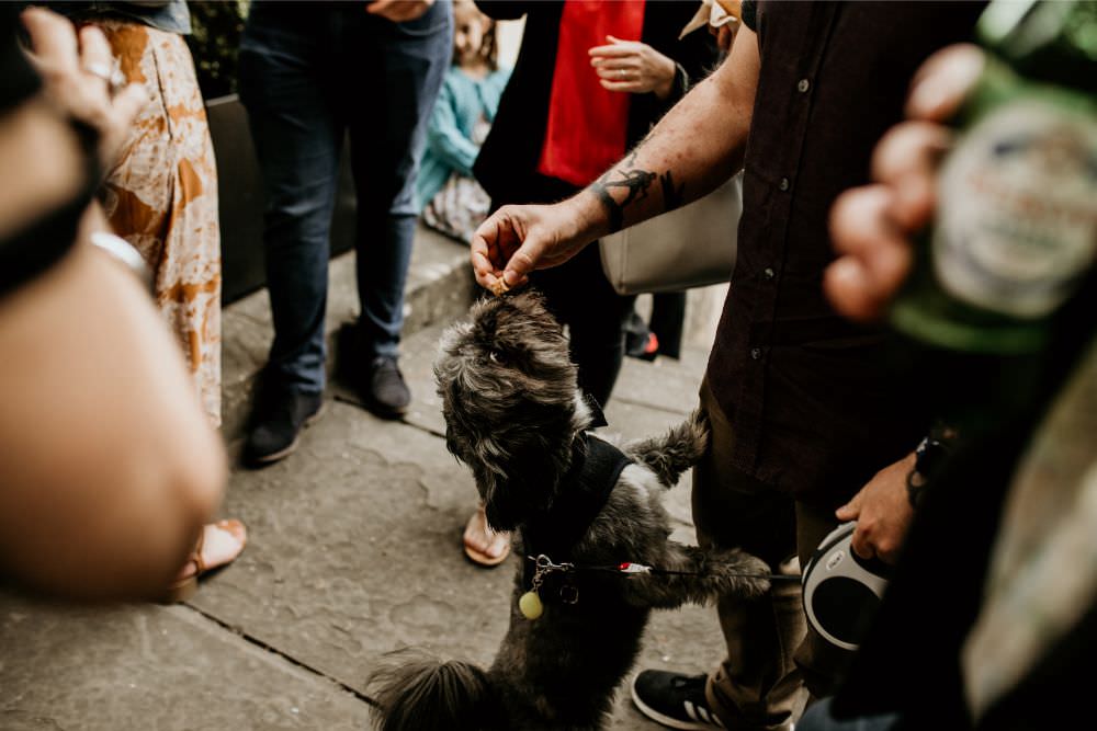 Arnos Vale Wedding Chloe Mary Photography